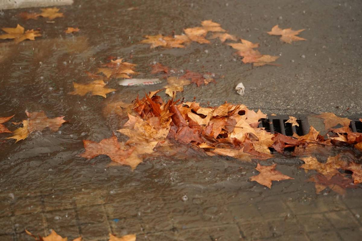 L`aiguat d`aquest dimarts a Sabadell - David Chao L`aiguat d`aquest dimarts a Sabadell