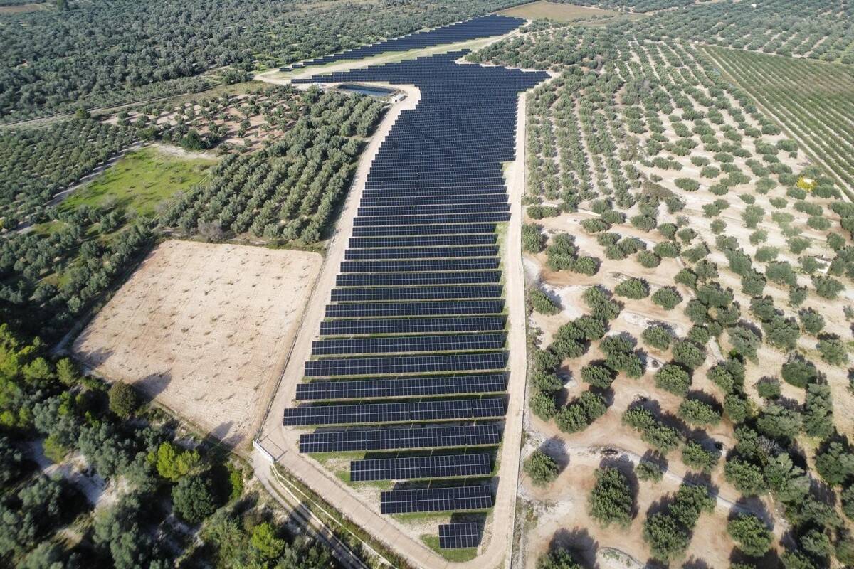 L’Energètica compra el parc solar dels Valentins i sumarà 11,3 MWp de potència renovable
