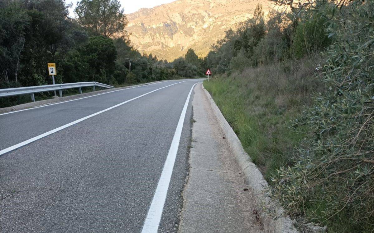 La Diputació de Tarragona retira 178 animals morts a les seves carreteres durant el 2025
