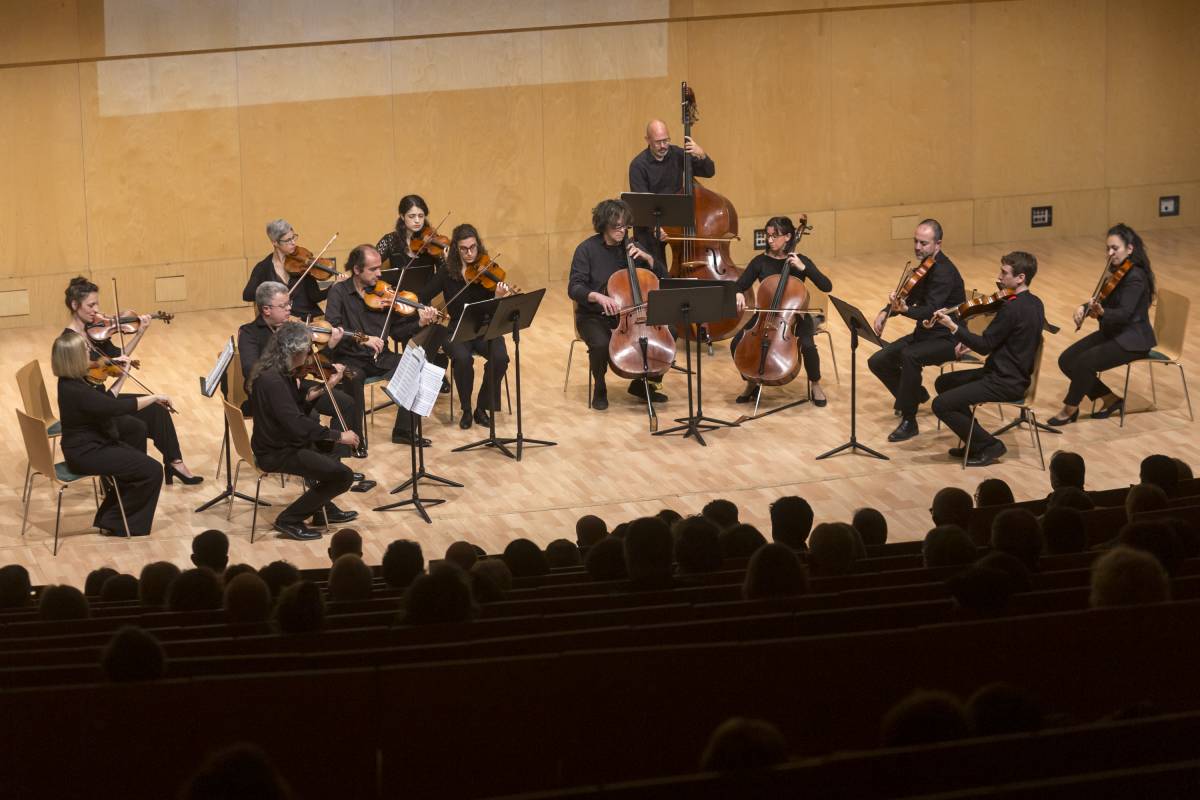 Uns magnífics 25 anys d'orquestra de cambra a Terrassa