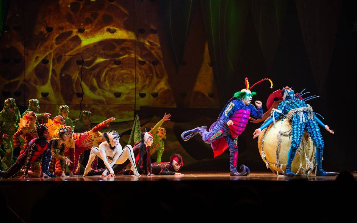 Què fer el cap de setmana del 19 al 21 de desembre a la demarcació de Tarragona?