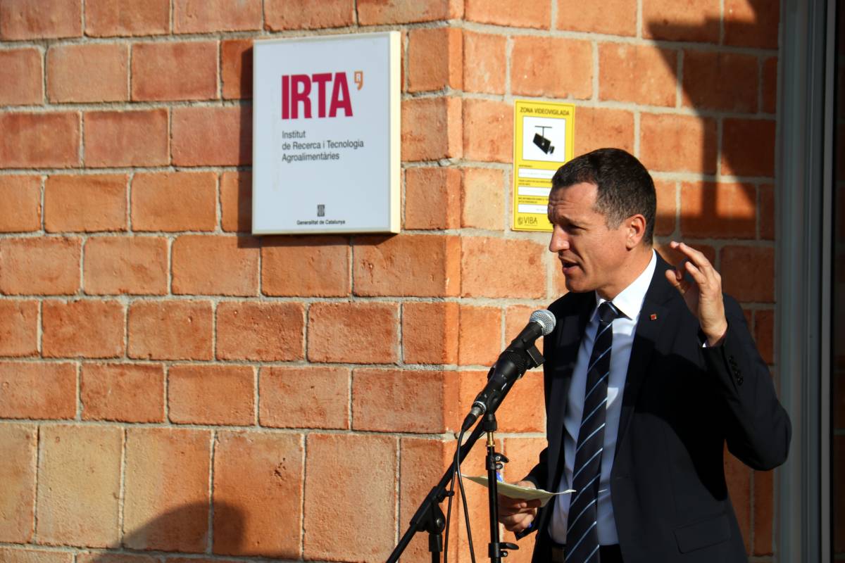 Els experts europeus no aclareixen si el virus de la pesta porcina va sortir del laboratori de la Generalitat