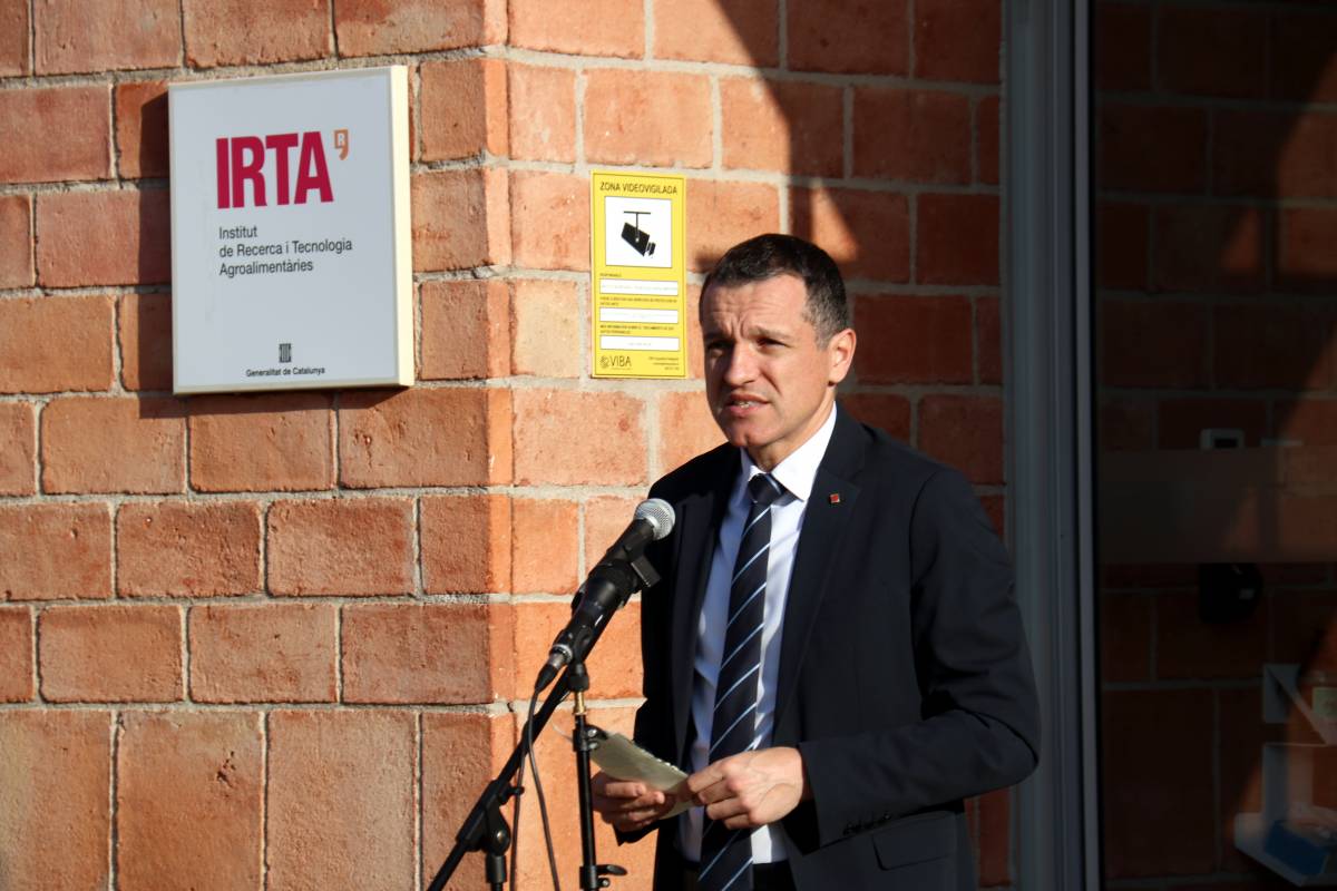 Els experts europeus no aclareixen si el virus de la pesta porcina va sortir del laboratori de la Generalitat