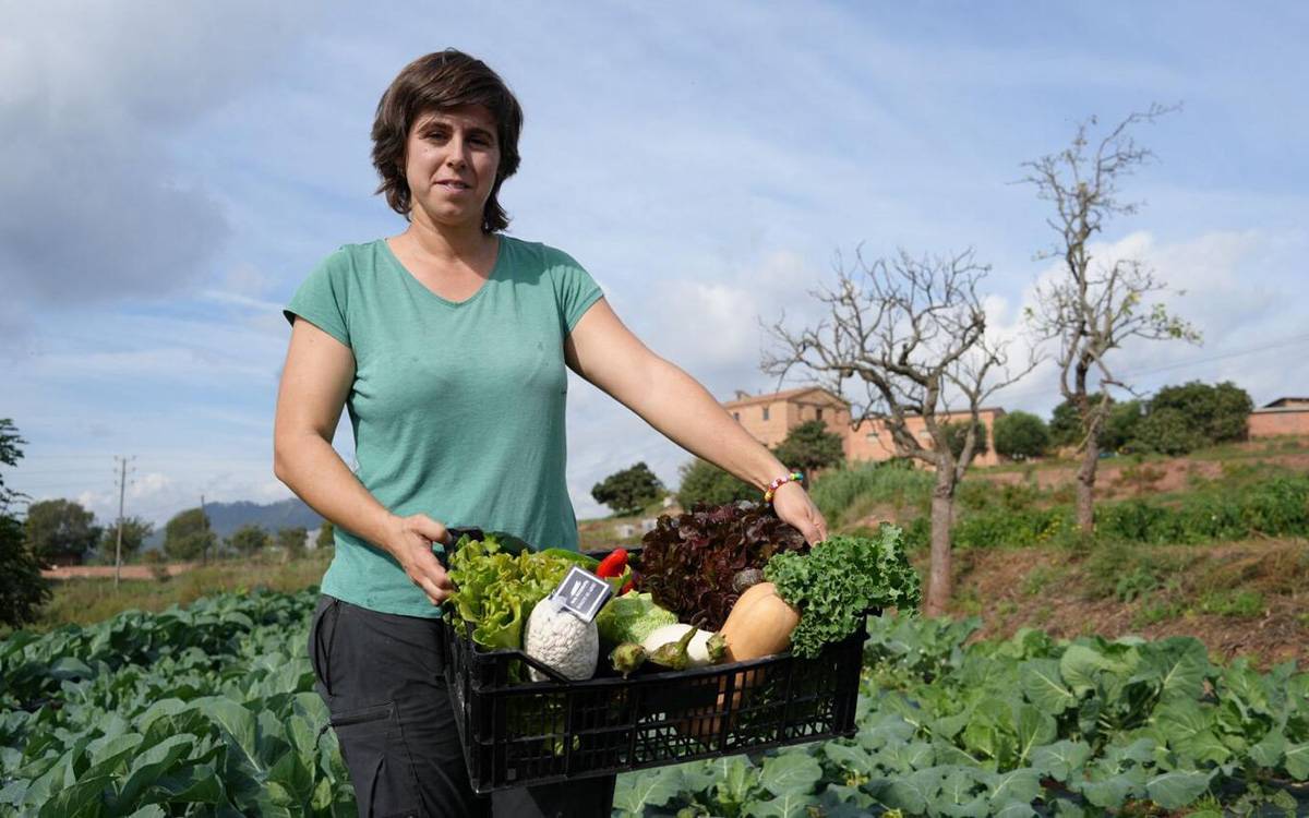 Manresa impulsa una campanya de Nadal per promoure la compra de proximitat