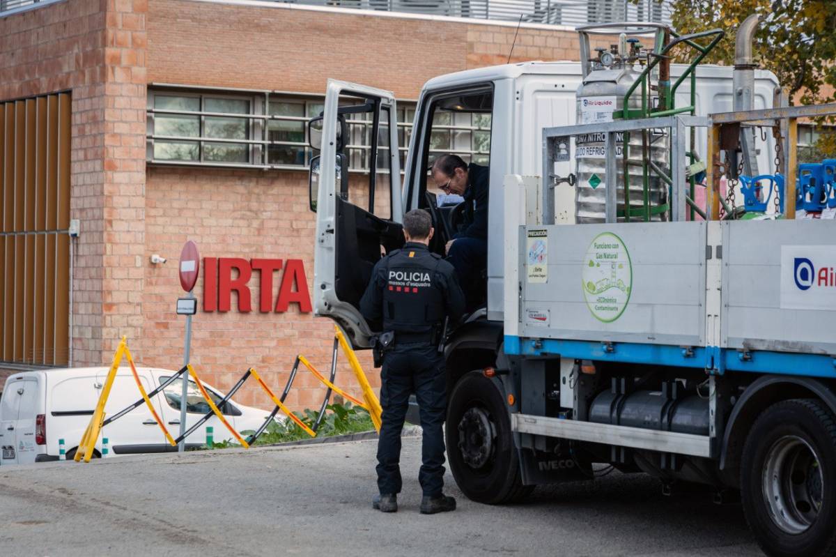 Pesta porcina: en l'ADN del virus hi ha les respostes