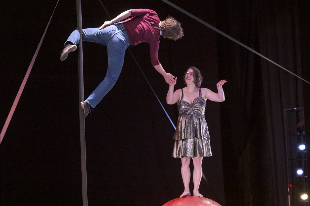 Varietat de “plats” de cultura a LaFACT