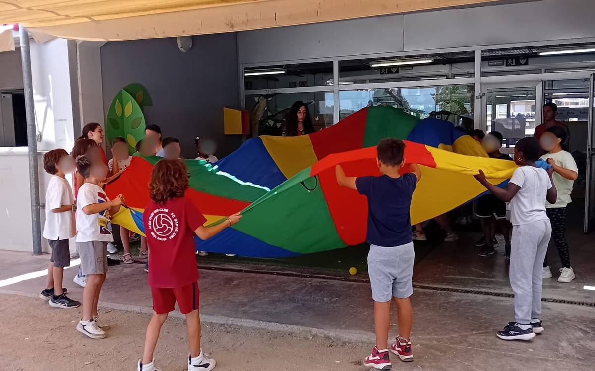 El programa Singulars del CAE tanca amb un 78,5% d'inserció laboral però sense futur garantit