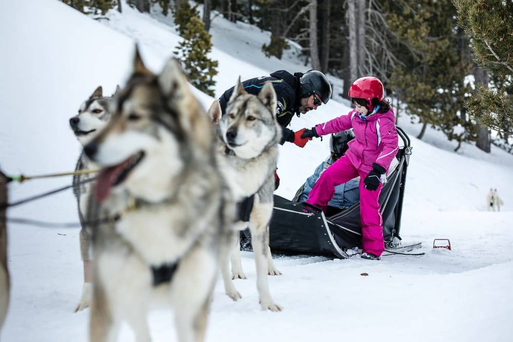 Tuixent la Vansa Cau de llops
