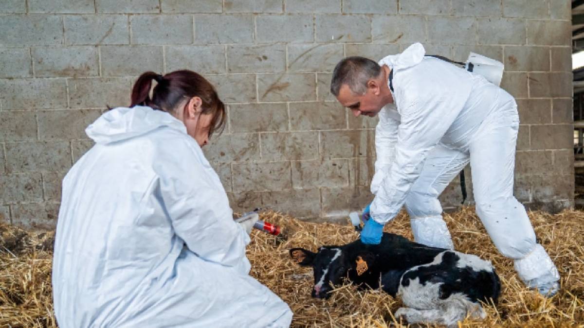 Aixequen les restriccions per DNC en el radi de Cassà de la Selva