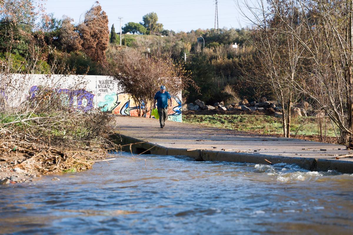 FOTOS | Així baixa el riu Ripoll després de les darreres pluges a Sabadell