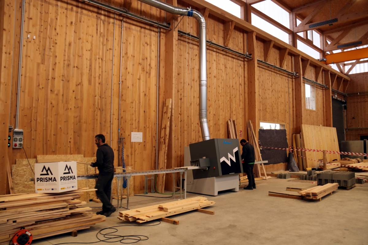 Catalunya prova el pi roig i el faig com a material de construcció