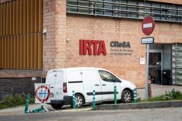 L'ADN del virus descarta que la pesta porcina sortís del laboratori