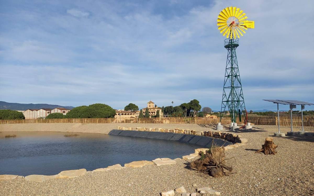 Acaben les obres de naturalització d’entorns escolars i refugis climàtics a Reus