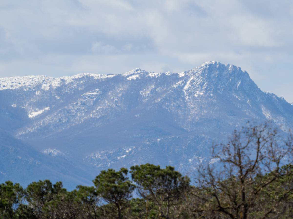 Postals del Montseny per acomiadar el 2025