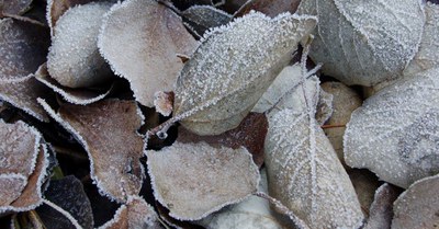 Reus reforça l'atenció a les persones en situació de vulnerabilitat per fred intens