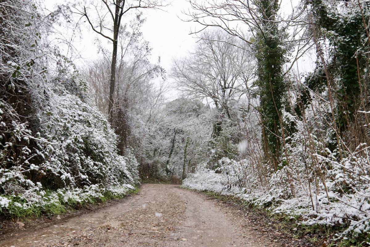 VÍDEO | La neu enfarina Sant Llorenç i arriba a Terrassa