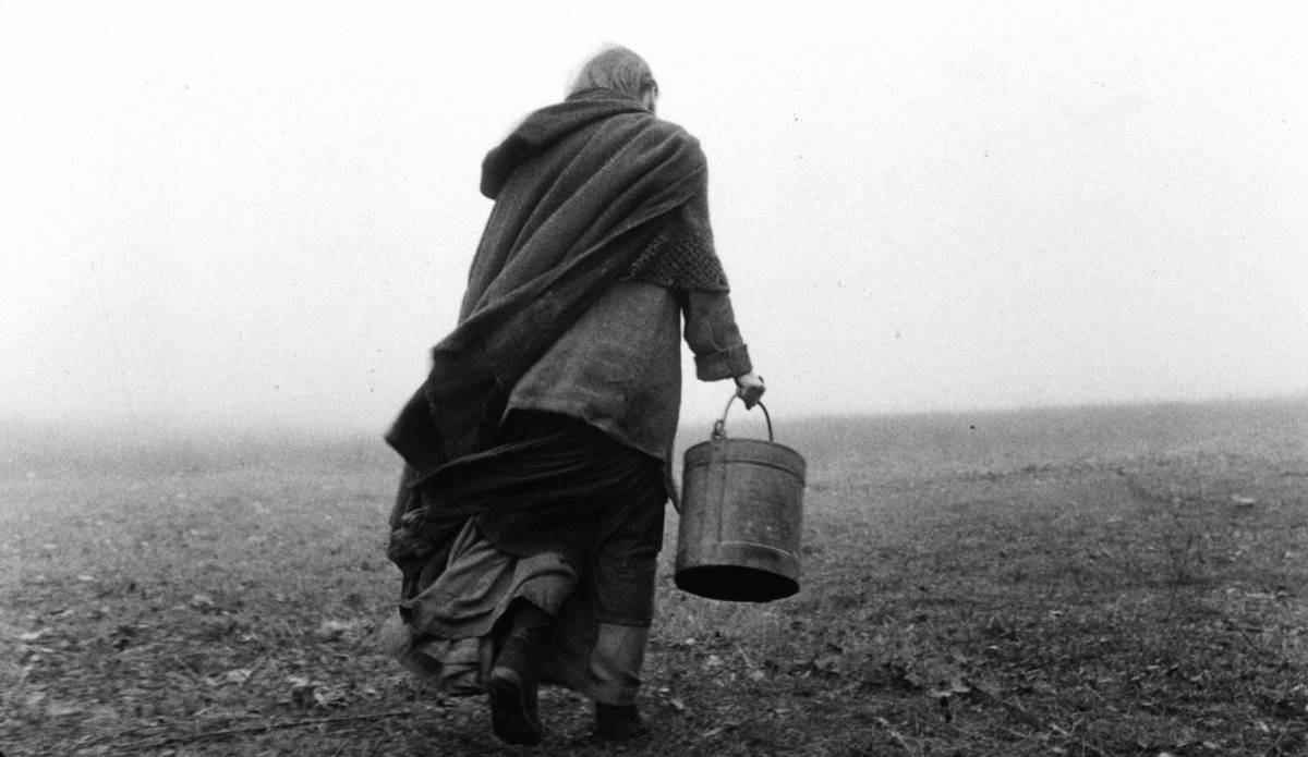 Una imatge de The Turin Horse