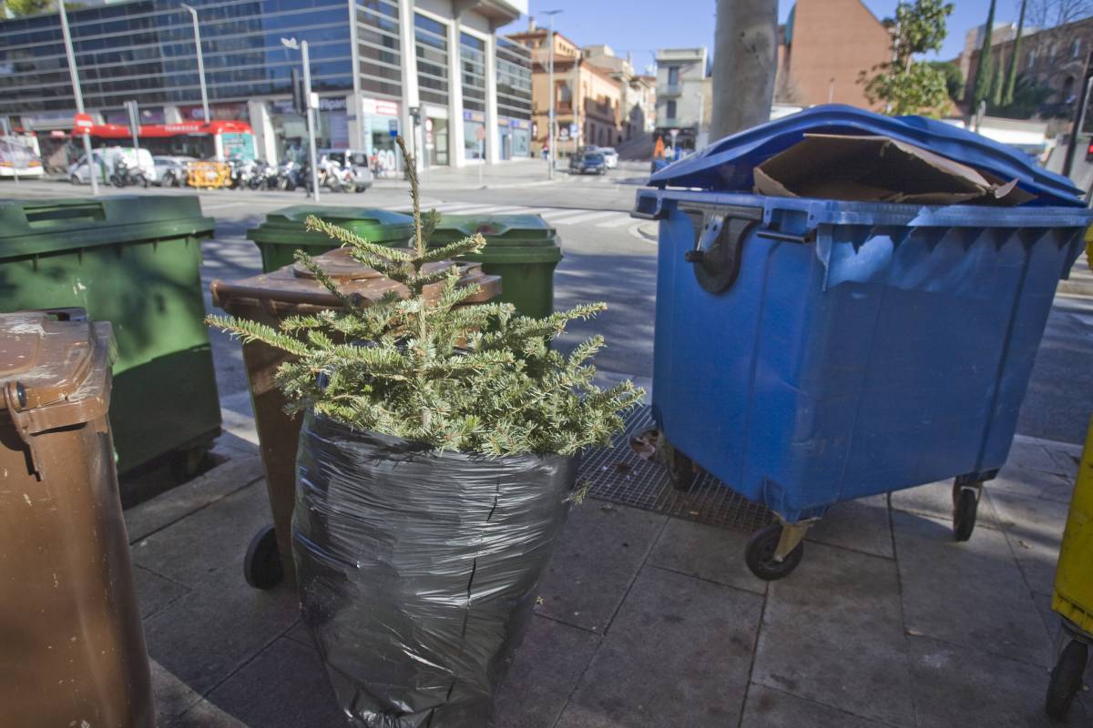 S'ha acabat el Nadal... i ara què fem amb l'arbre?