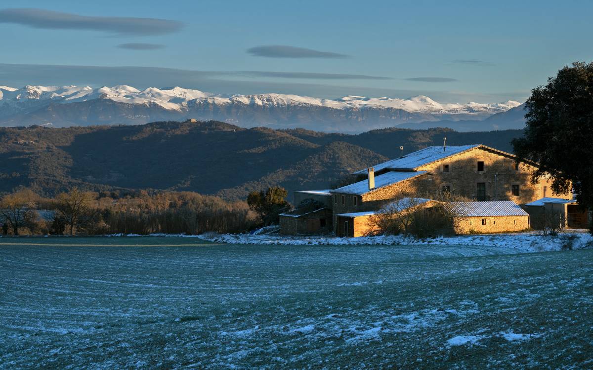 Els efectes del fred intens i la glaçada a Sant Bartomeu del Grau.