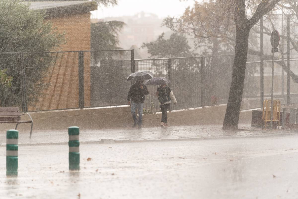 Un any dels més plujosos de la darrera dècada