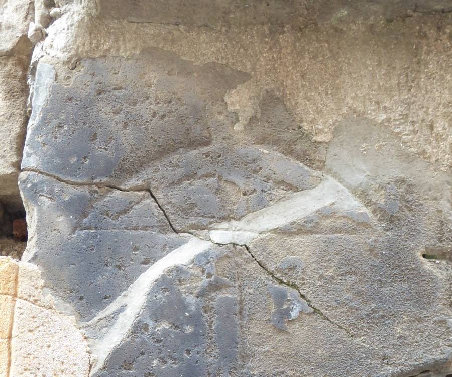 La petjada dels ballesters