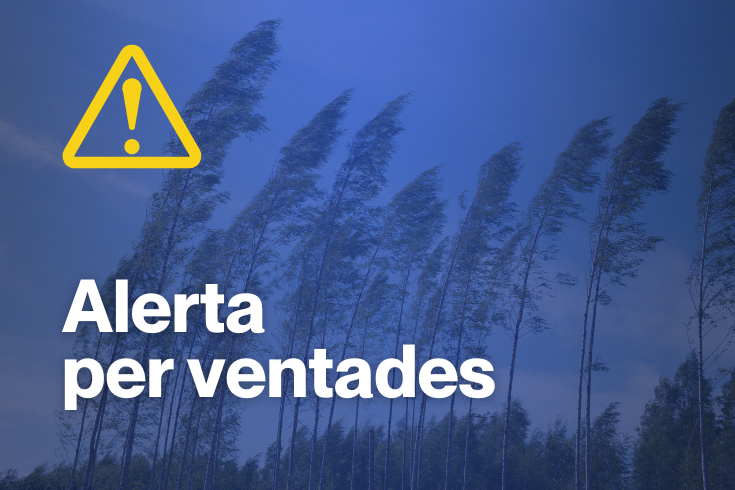 Avisos del Centre Sanitari, Consell Comarcal i Ajuntament de Solsona 