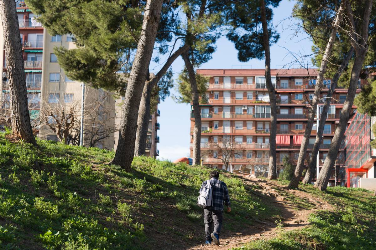 Comença la plantació de 1.000 arbres a Sabadell