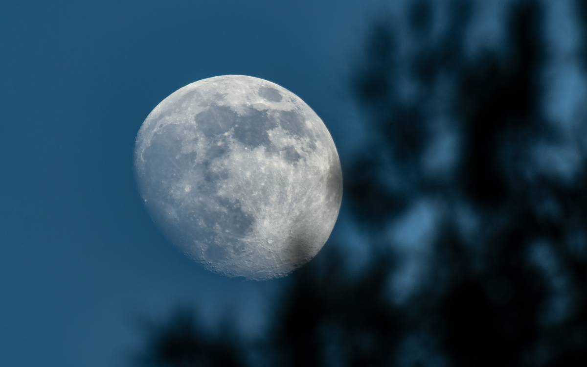 Hivern a Osona i el Lluçanès: la darrera lluna de l`any, 31 de desembre de 2025.