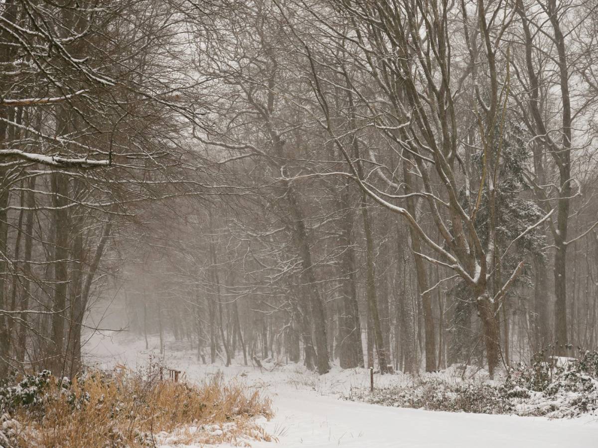 Es manté la prealerta per perill fort d’allaus al Pirineu