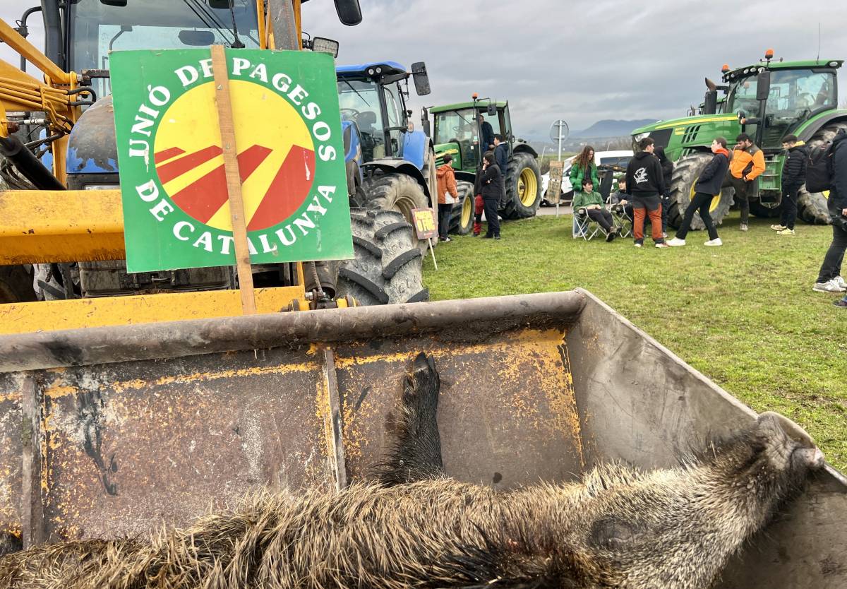 Els pagesos caçadors reclamen més flexibilitat per abatre animals de nit