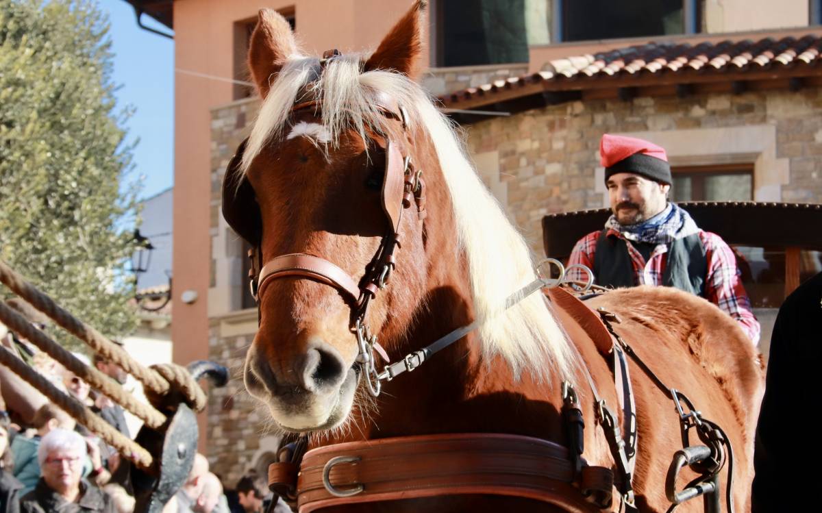 Taradell converteix la festa dels Tonis en un «gran museu viu» del patrimoni rural