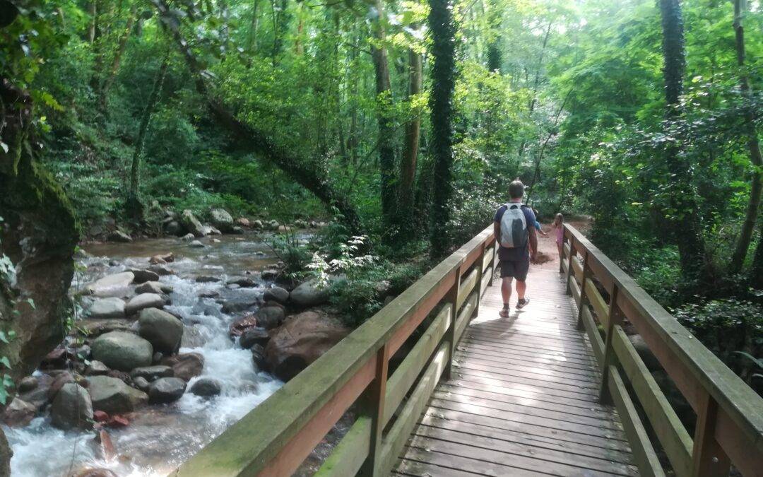 Arbúcies reforma el Passeig de la Riera: «És el principal eix turístic del poble»