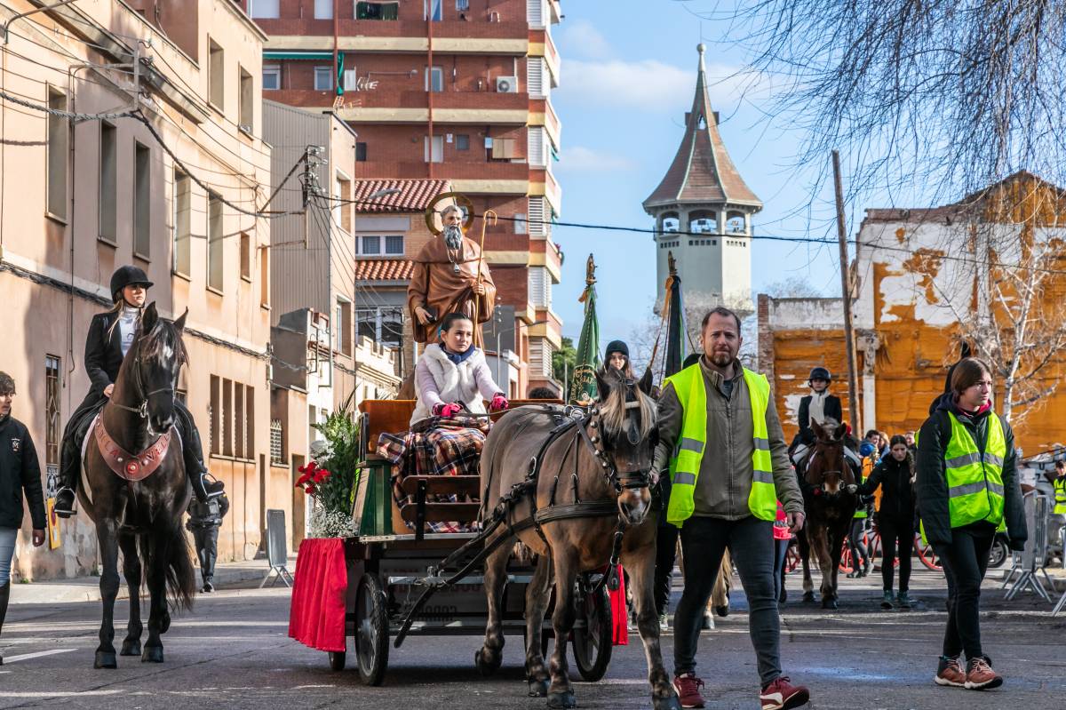 Sabadell celebra la tradicional passada de Sant Antoni Abat: consulta'n els detalls