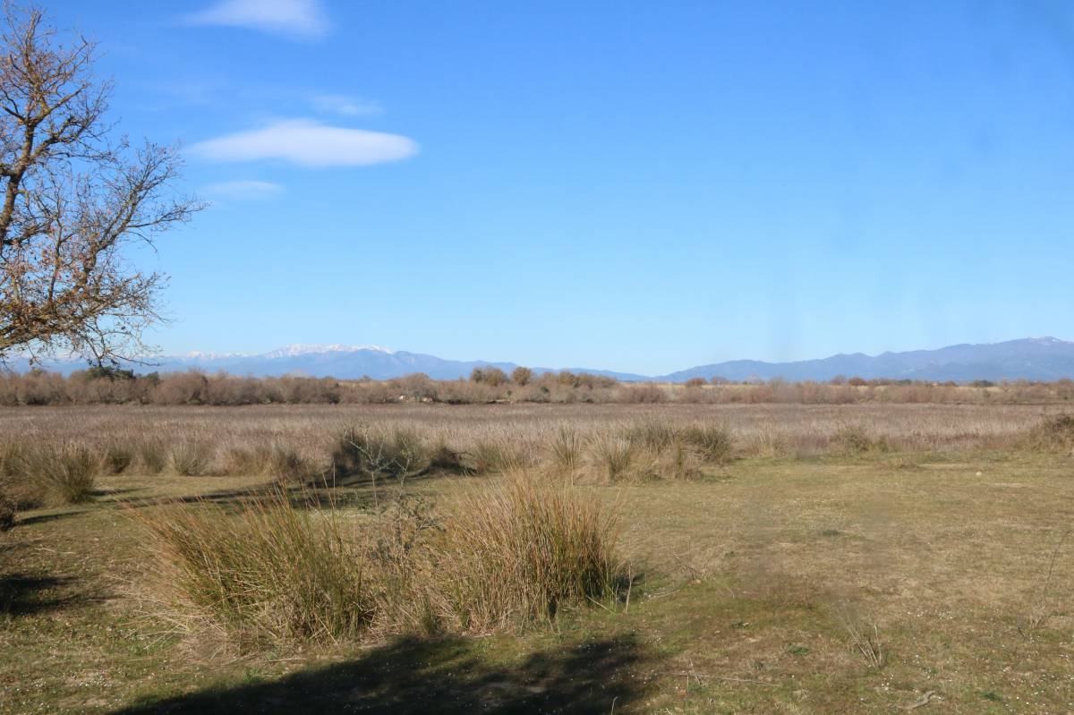 La Generalitat expropia un estany de l'Empordà per restaurar-lo