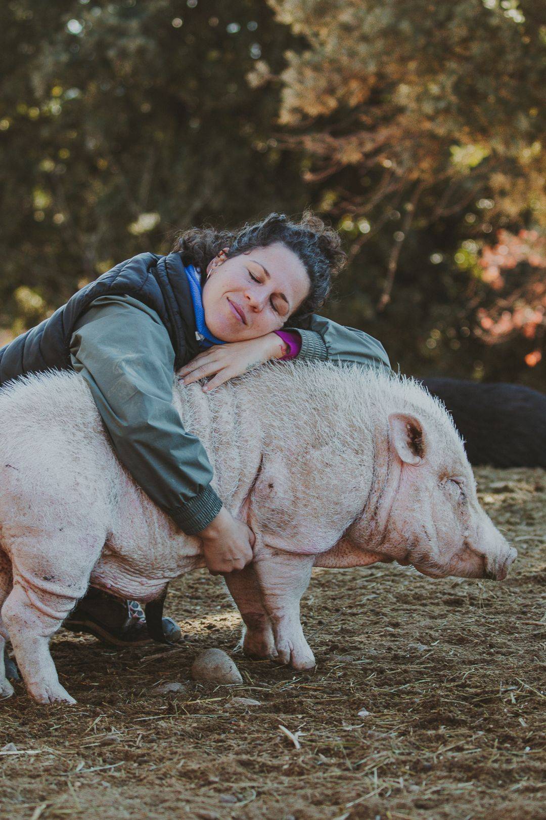 Melody González amb un dels porcs del santuari - 