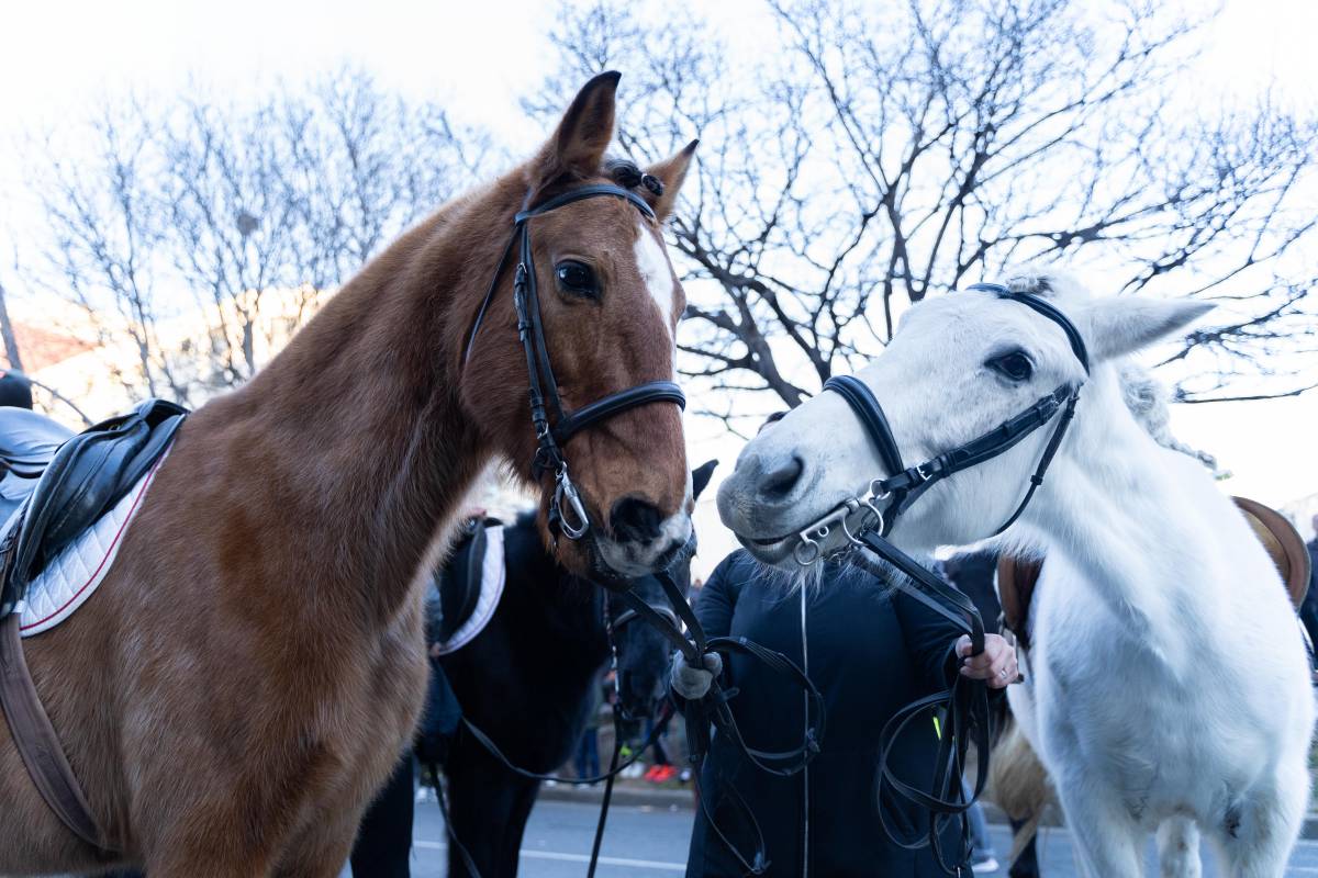 Cinc plans per no sortir del Vallès aquest cap de setmana