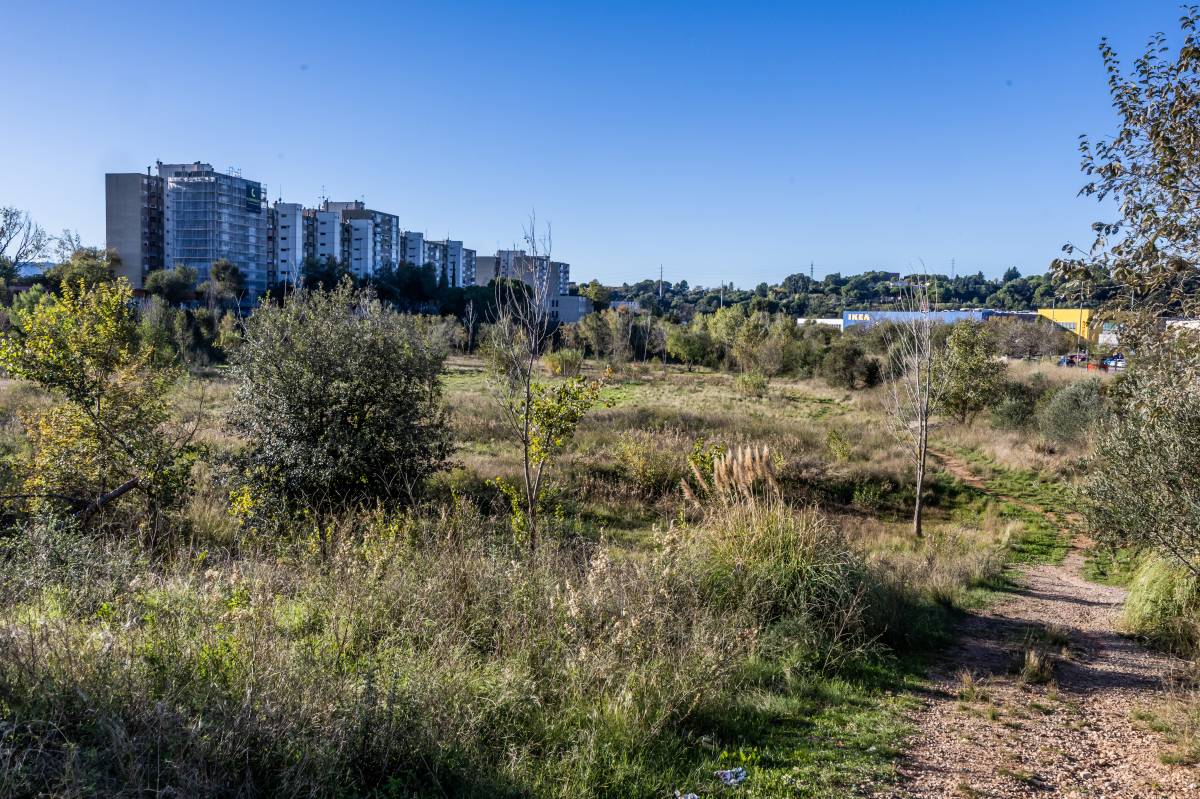 Talls de trànsit i afectacions per les obres en la nova àrea en desenvolupament a tocar de l'Ikea