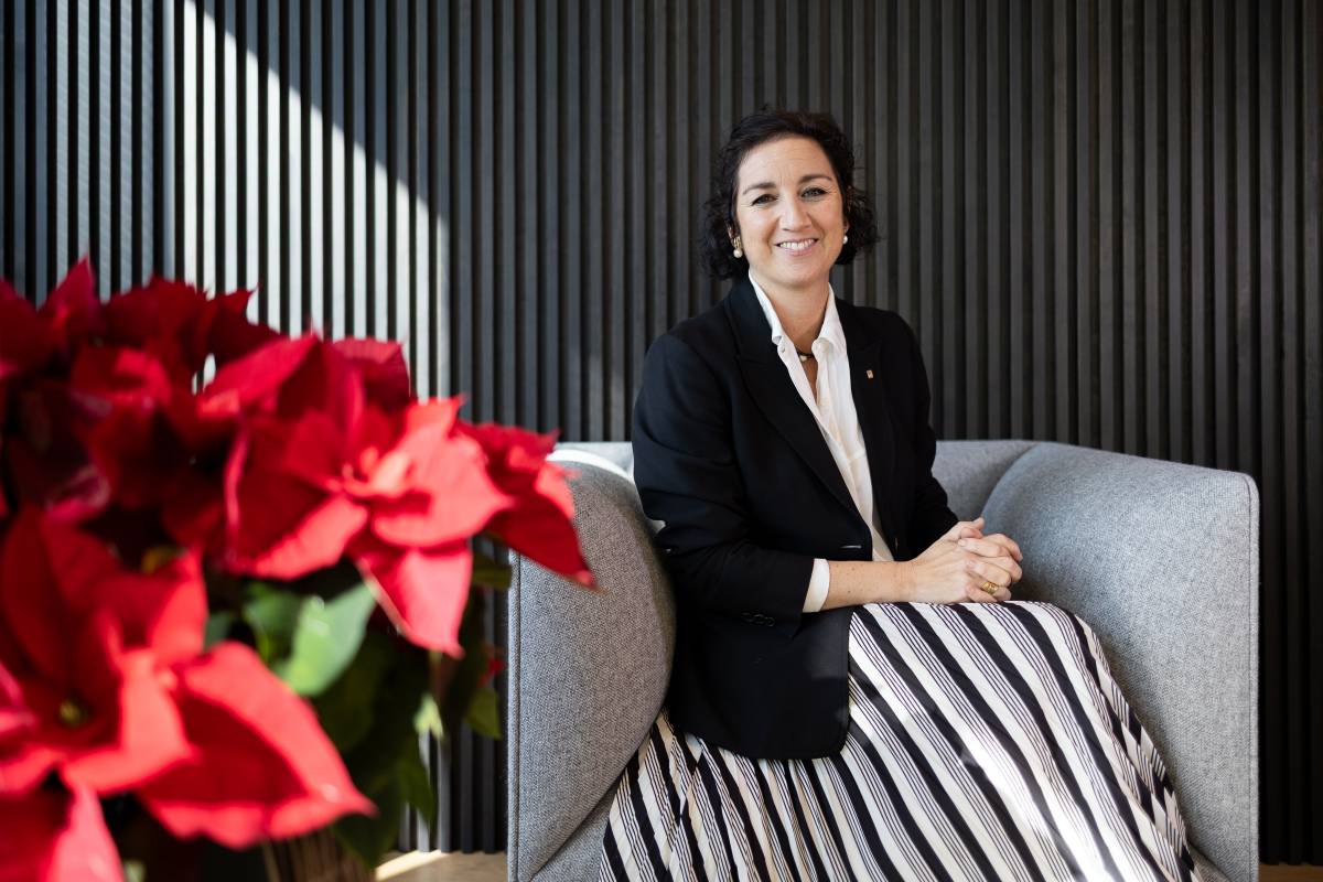 «Els diners del nou finançament no aniran a abaixar impostos»