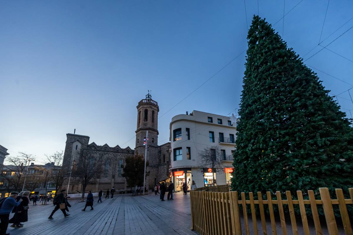 L`arbre gegant de Nadal encara és al passeig, però sense els ornaments decoratius