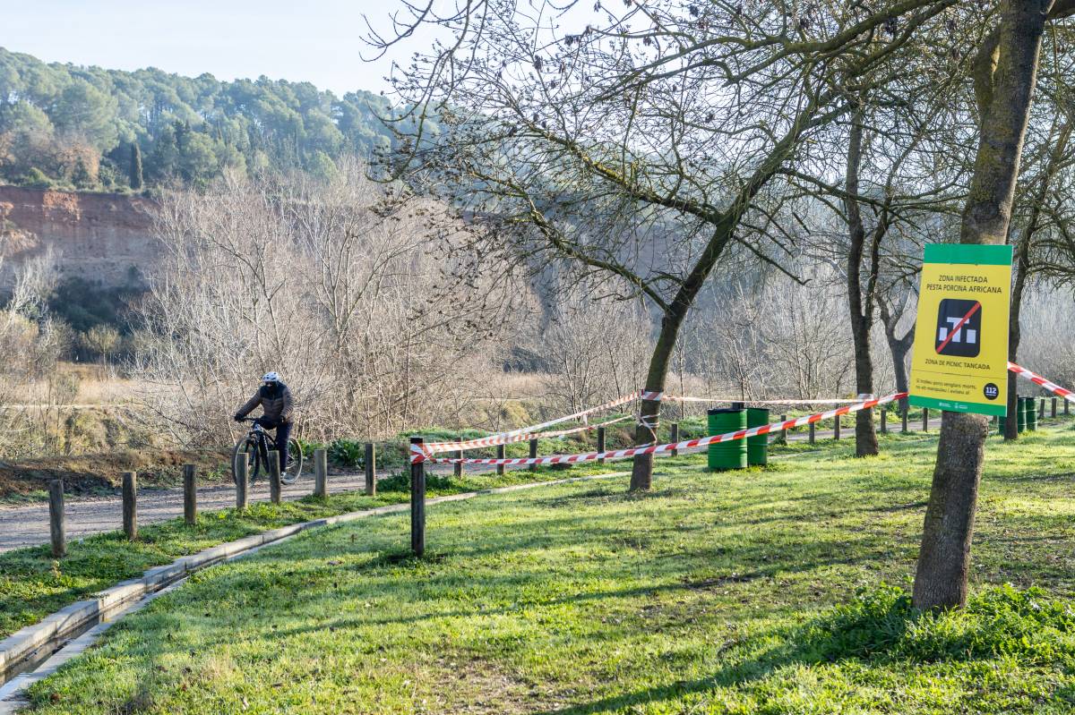 La vida continua al Ripoll malgrat les restriccions per la pesta porcina