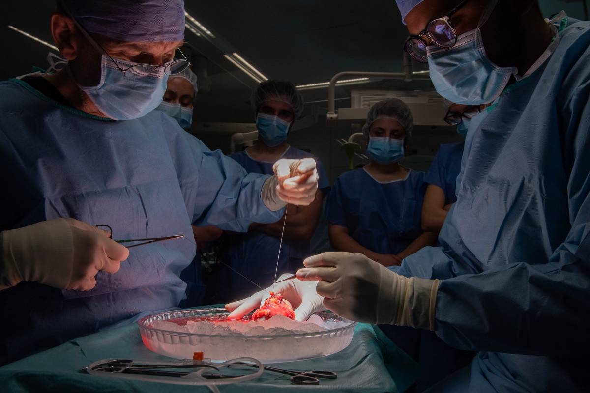 Catalunya assoleix la segona millor xifra de la història amb 1.356 trasplantaments el 2025