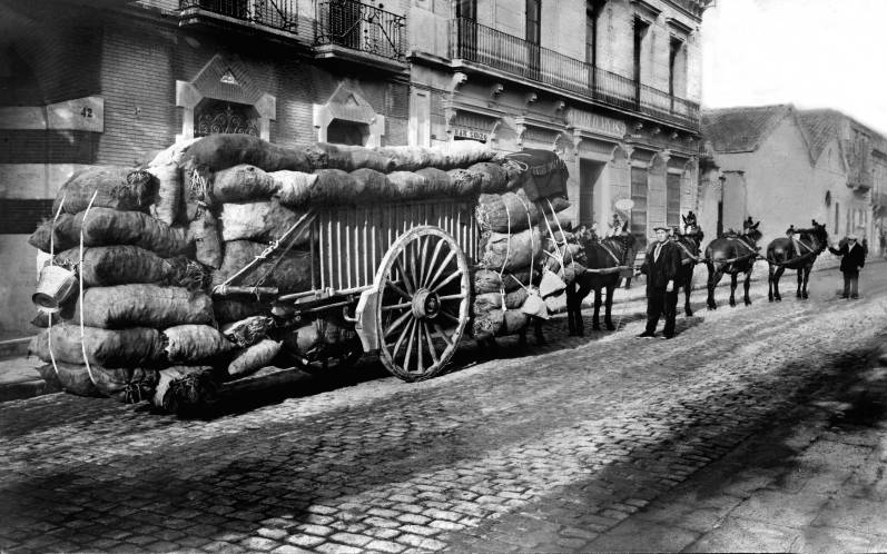La Passada de Sant Antoni Abat, la festa dels carreters