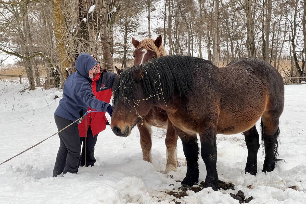 El Meteocat intensifica els avisos per pluja i neu a quasi tot Catalunya