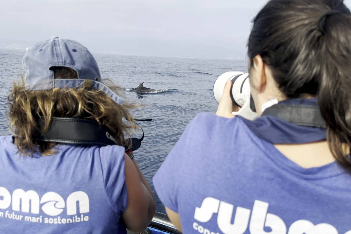 Sí, la convivència entre dofins i pescadors és possible
