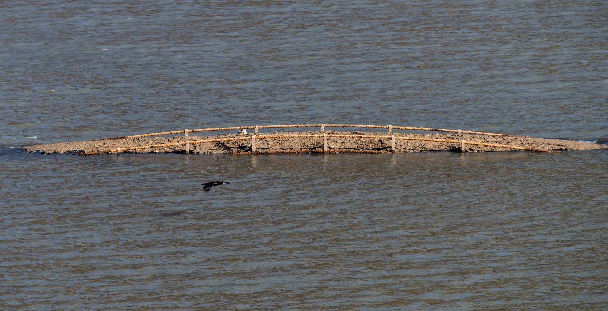 L`antic pont romànic de Sant Romà només ha emergit en una ocasió des de la construcció de l`embassament