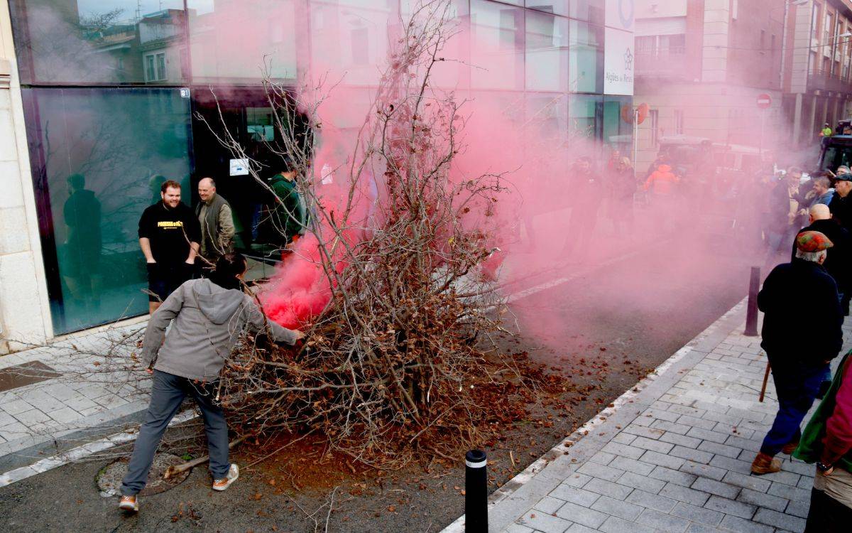 Els pagesos de Tarragona denuncien la falta d'aigua portant avellaners morts al Departament d'Agricultura