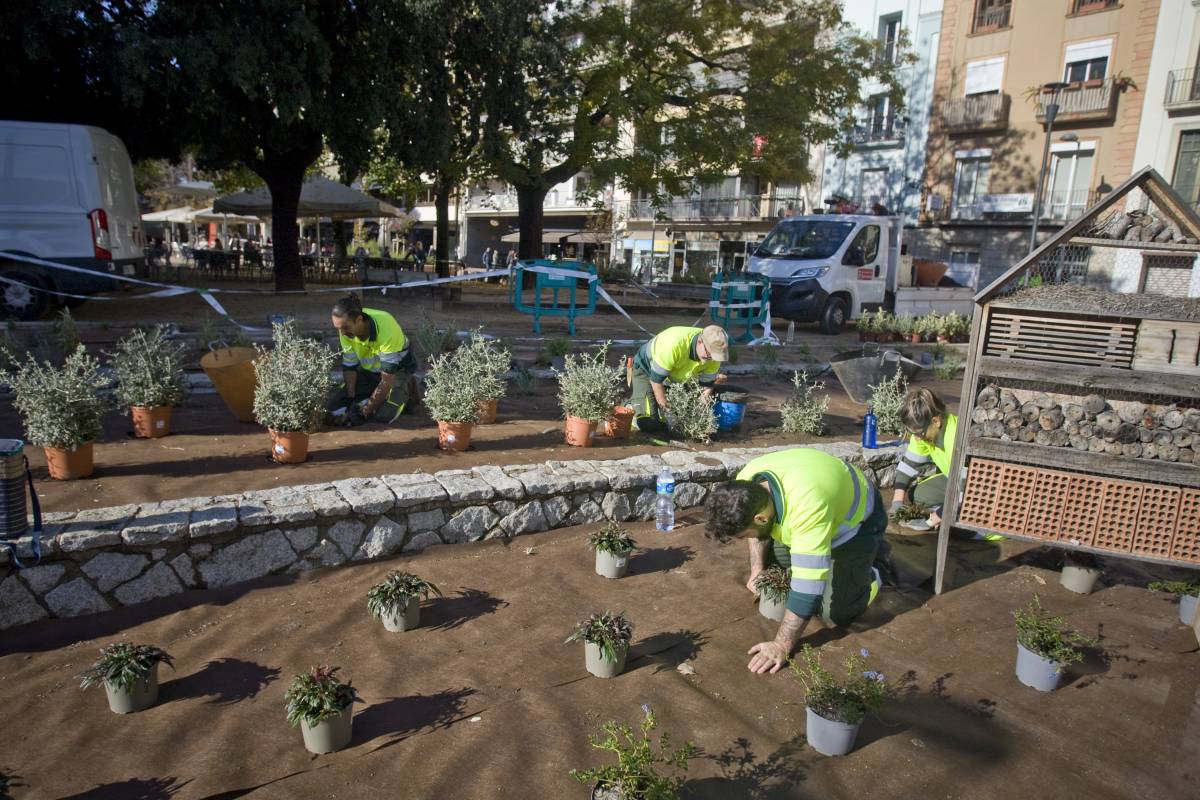Terrassa augmenta la inversió en zones verdes per atendre nous espais i millorar-ne la conservació