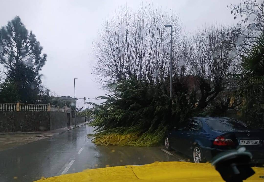 El Montseny en alerta per pluges: incidents i classes suspeses