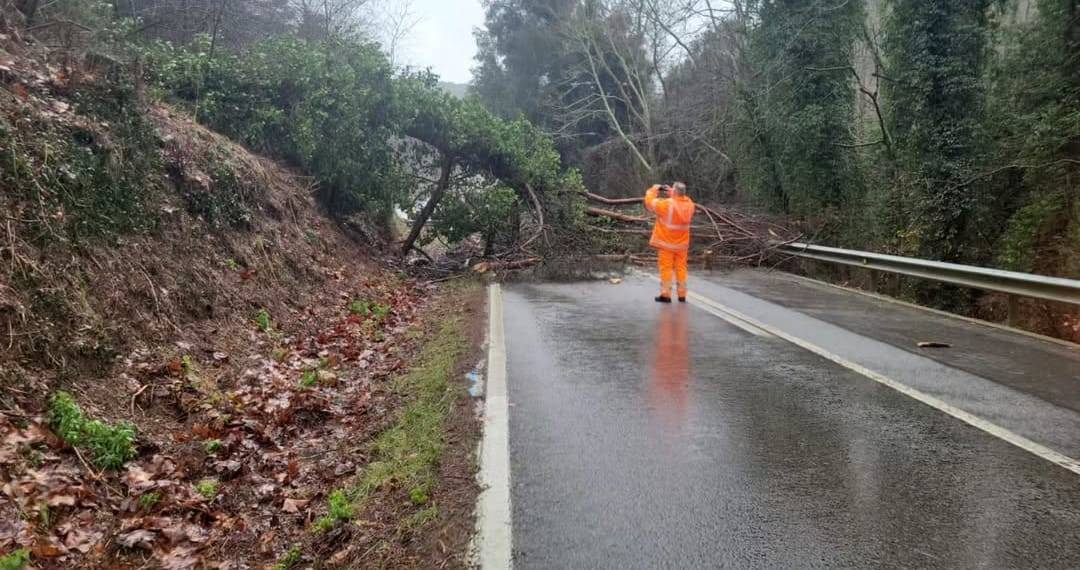 Carretera Tallada a Vallgorguina. - AJ Vallgorguina