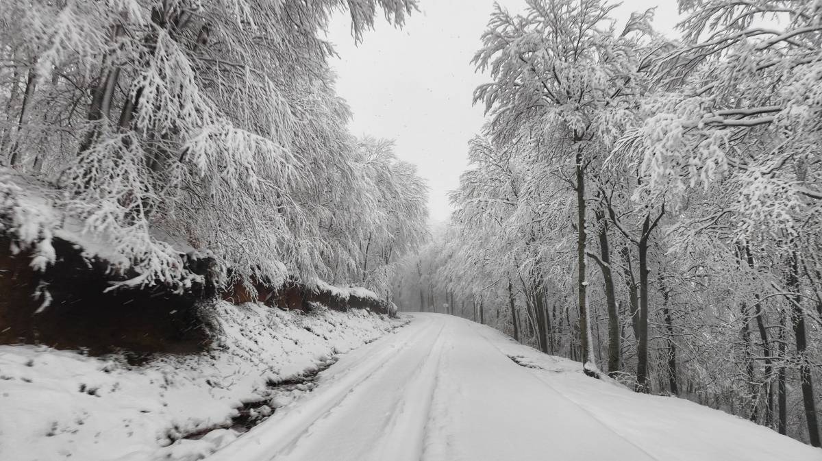 Imatges de neu durant el temporal a santa Fe del Montseny.